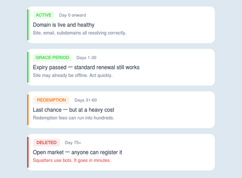 Infographic showing what happens when a domain expires, with domain status timelines: “Active” in green, “Grace Period” in light green, “Redemption” in orange, and “Deleted” in red. Each status includes a description of possible actions and consequences.